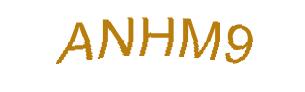 عبارت امنیتی