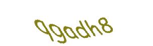 عبارت امنیتی
