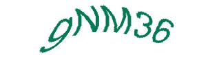 عبارت امنیتی