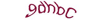 عبارت امنیتی