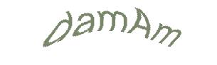 عبارت امنیتی