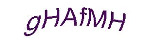 عبارت امنیتی