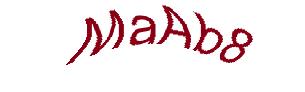 عبارت امنیتی
