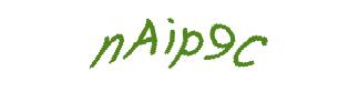 عبارت امنیتی