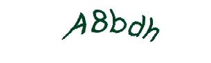 عبارت امنیتی