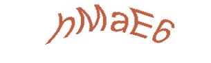 عبارت امنیتی