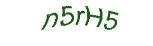 عبارت امنیتی