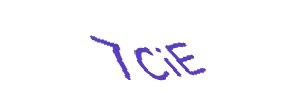 عبارت امنیتی
