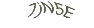 عبارت امنیتی
