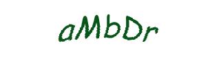 عبارت امنیتی