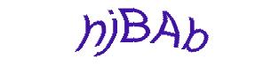 عبارت امنیتی