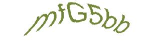 عبارت امنیتی