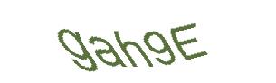 عبارت امنیتی