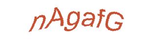 عبارت امنیتی