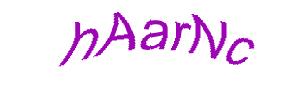 عبارت امنیتی