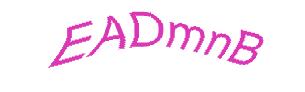 عبارت امنیتی