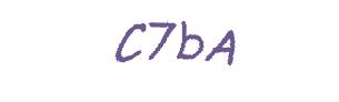 عبارت امنیتی