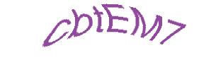 عبارت امنیتی