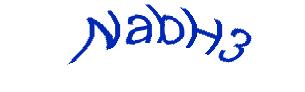 عبارت امنیتی