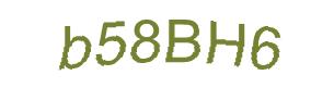 عبارت امنیتی
