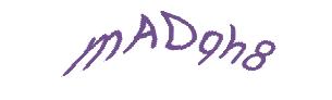 عبارت امنیتی