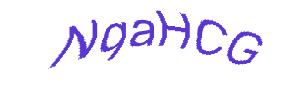 عبارت امنیتی