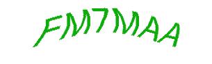 عبارت امنیتی