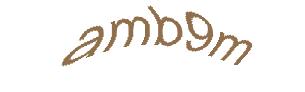 عبارت امنیتی