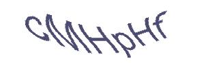 عبارت امنیتی