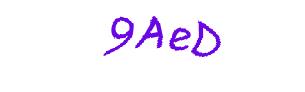 عبارت امنیتی