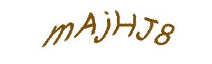 عبارت امنیتی