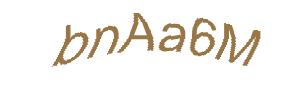 عبارت امنیتی