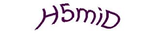 عبارت امنیتی