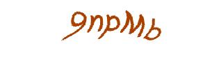 عبارت امنیتی