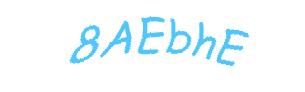 عبارت امنیتی