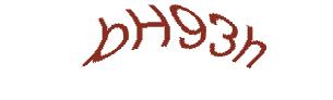 عبارت امنیتی