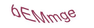 عبارت امنیتی