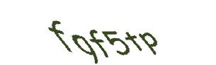 عبارت امنیتی