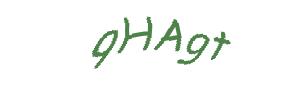 عبارت امنیتی