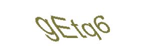 عبارت امنیتی