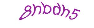 عبارت امنیتی