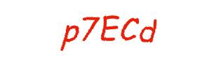 عبارت امنیتی