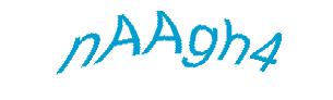 عبارت امنیتی