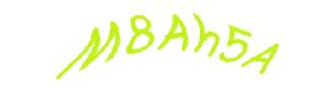 عبارت امنیتی