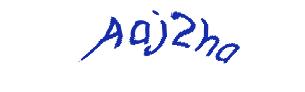 عبارت امنیتی