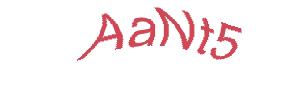 عبارت امنیتی
