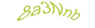 عبارت امنیتی