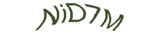 عبارت امنیتی