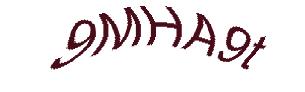 عبارت امنیتی