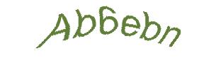 عبارت امنیتی